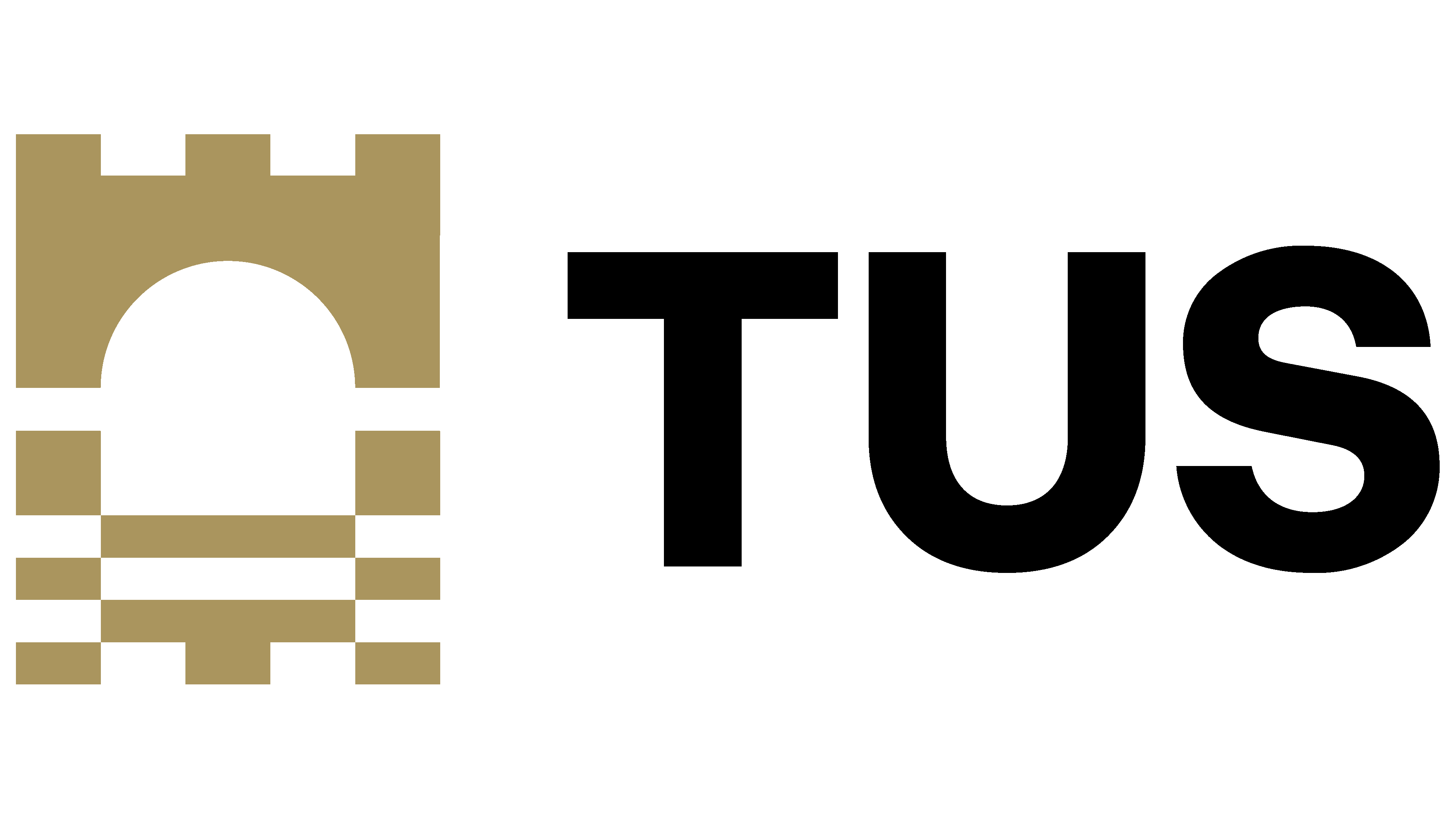 Partner University